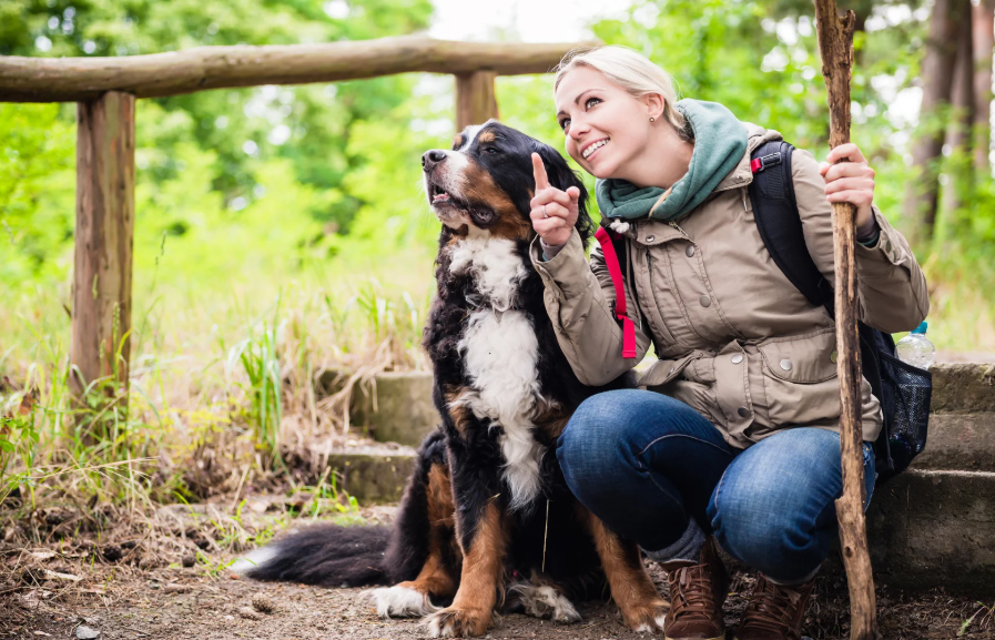 מסלולי טיול עם כלבים
