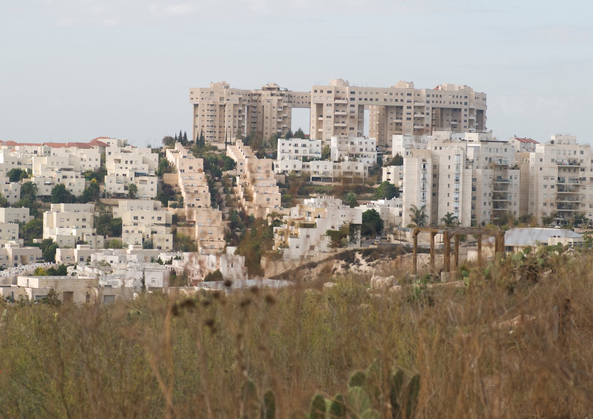 טיול באזור מודיעין